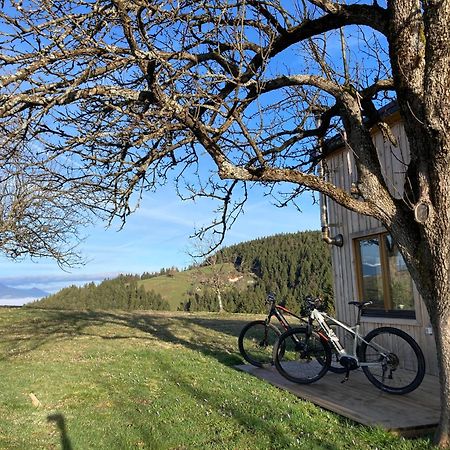Tiny House Villa Mislinja Buitenkant foto