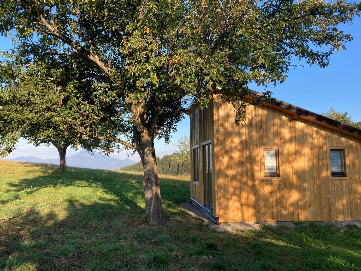 Tiny House Villa Mislinja Buitenkant foto