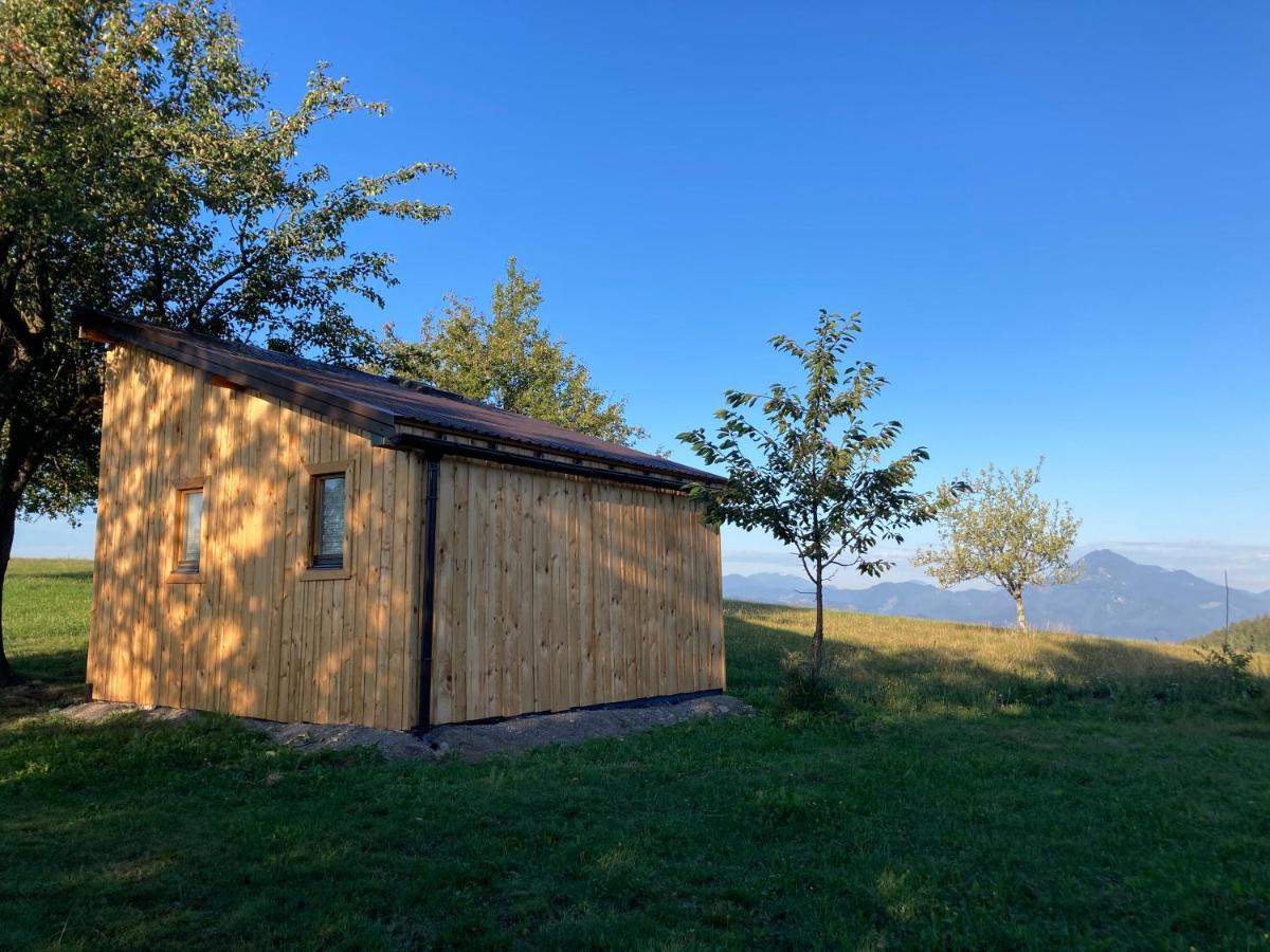 Tiny House Villa Mislinja Buitenkant foto